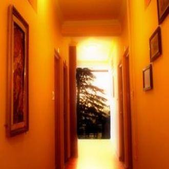 TG Stays Bhagsu Nag, Dharamshala 2
